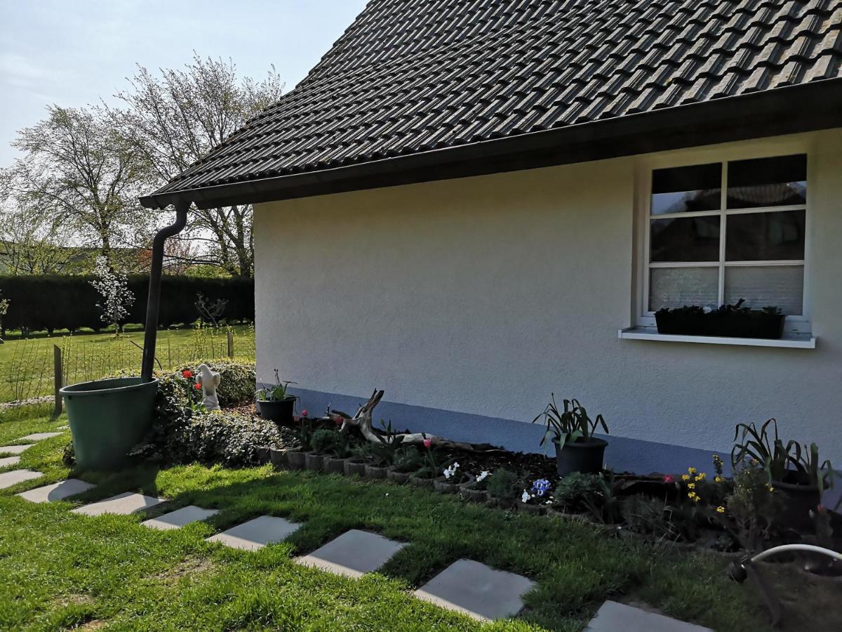 Boddenhus Auf Ruegen - Ferienwohnungen Und Pension Rappin Exterior photo
