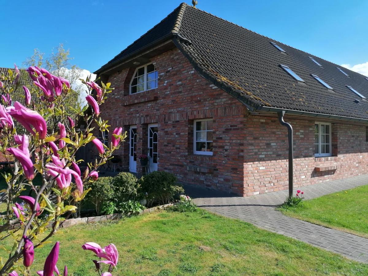 Boddenhus Auf Ruegen - Ferienwohnungen Und Pension Rappin Exterior photo
