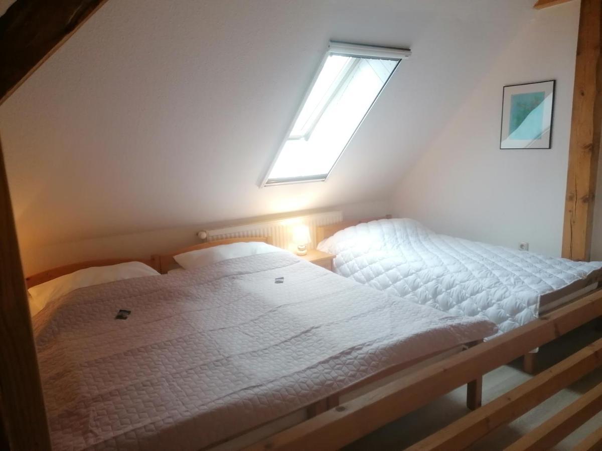 Boddenhus Auf Ruegen - Ferienwohnungen Und Pension Rappin Exterior photo